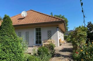 Einfamilienhaus kaufen in 39340 Haldensleben, Wohnen im Grünen: Einfamilienhaus in Haldensleben provisionsfrei zu verkaufen