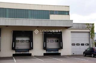 Büro zu mieten in 85551 Kirchheim, Attraktive Lagerhalle mit Büro in München nahe der Autobahn!