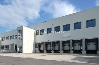 Gewerbeimmobilie mieten in 76877 Offenbach, 7.300 m² | Logistikhalle | 10m UKB | Provisionsfrei