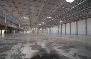 Gewerbeimmobilie mieten in 76661 Philippsburg, Provisionsfrei | 6.000 m² | Lager-/Produktionshalle