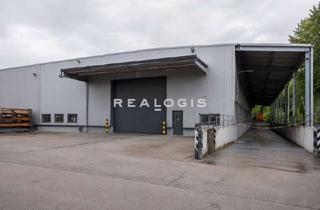 Gewerbeimmobilie mieten in 76287 Rheinstetten, 4.200 m² | Logistikhalle | 6.000 m² Freifläche | 7,00 m UKB