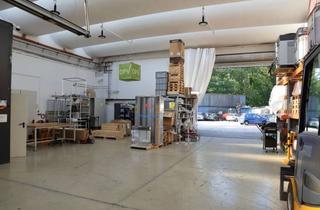 Gewerbeimmobilie mieten in Wachhausstraße, 76227 Durlach, Provisionsfrei: Halle für Lager/Produktion/Montage in Karlsruhe-Durlach