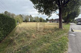Grundstück zu kaufen in 49205 Hasbergen, VIEL PLATZ FÜR IHRE IMMOBILIENPROJEKTE
