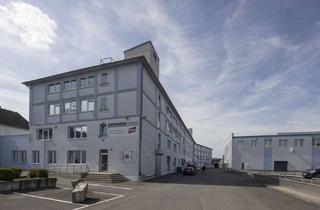 Büro zu mieten in Hannöversche Str. 20a, 44143 Körne, Flexible Büroetage - Individueller Ausbau nach Ihren Anforderungen