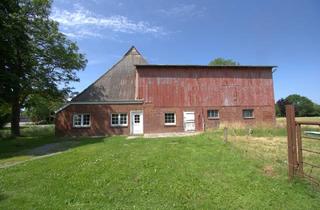 Lager kaufen in 25719 Barlt, Resthof mit Grünfläche und viel Gestaltungspotenzial in ländlicher Lage von Barlt an der Nordsee