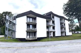 Wohnung kaufen in 94089 Neureichenau, Top-gepflegtes Raumwunder im Dreiländereck - Ideal als Ferienwohnung, Investment oder Erstwohnsitz