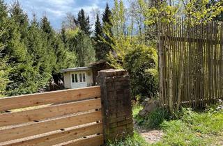 Einfamilienhaus kaufen in 35321 Laubach, Laubach - Kernsaniertes Haus mit großen Gartengrundstück am Bach OT Laubach