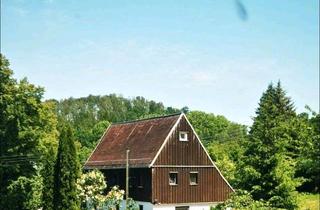 Einfamilienhaus kaufen in 09648 Mittweida, Mittweida - Einfamilienhaus mit Wintergarten
