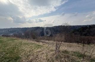 Grundstück zu kaufen in 72218 Wildberg, Wildberg - TRAUMGRUNDSTÜCK IM GRÜNEN