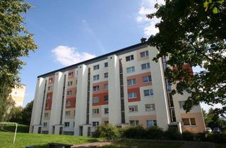 Wohnung mieten in Ringstraße 10, 09337 Hohenstein-Ernstthal, SINGLE-WOHNUNG ZUM KLEINEN PREIS!!!