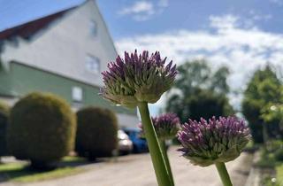 Wohnung mieten in Karl-Liebknecht-Straße 17, 06179 Teutschenthal, Erstbezug nach Sanierung! Wohntraum mit Balkon- auf dem Land in Holleben (Teutschenthal)