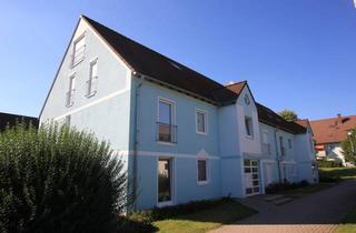 Wohnung mieten in Bussardweg 14, 06886 Lutherstadt Wittenberg, Große 4-Raum Wohnung am Stadtrand Wittenbergs