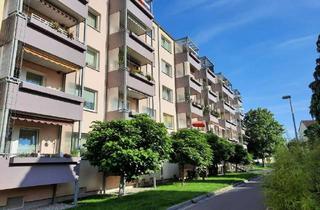Wohnung mieten in Lassallestraße 12, 04860 Torgau, **** barrierearm ****