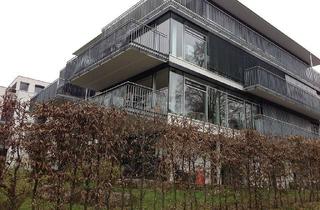 Wohnung mieten in Frauensteige 23, 89075 Mitte, Stilvolle, moderne 4-Zimmer-Wohnung am Michelsberg