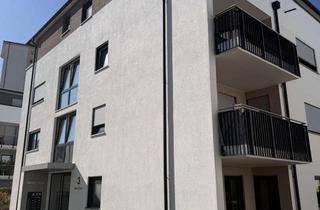 Wohnung mieten in Heimstraße, 88457 Kirchdorf, Stilvolle, geräumige und neuwertige 2-Zimmer-Wohnung mit Balkon und Abstellraum