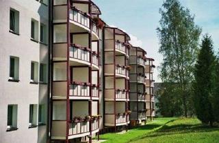 Wohnung mieten in Schillerstr. 14, 08626 Adorf, renovierte 2-Raum Wohnung mit Balkon