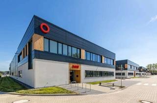 Büro zu mieten in 40589 Holthausen, Halle mit großem repräsentativem Büro - Höhe 6,50 m - Rampe und ebenerdiges Tor