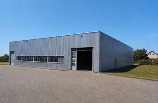 Gewerbeimmobilie mieten in 77746 Schutterwald, 1.600 m² Raum für große Pläne – Gewerbehalle in Schutterwald zu vermieten