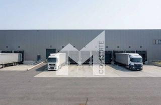 Gewerbeimmobilie mieten in 59269 Beckum, PROVISIONSFREI | LAGER | LOGISTIK | HALLE | RAMPEN | EBENERDIG | COMSTATE
