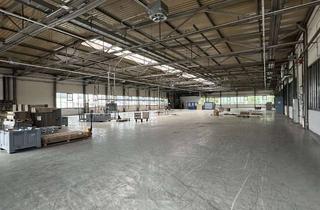 Gewerbeimmobilie mieten in Stollberger Straße 55, 09387 Jahnsdorf, Teilflächenvermietung! Lager-, Produktions-, Logistikhalle direkt an der A72!