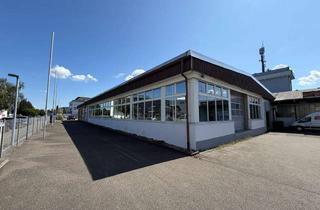 Büro zu mieten in 88250 Weingarten, Weingarten-Trauben - Multifunktionale Gewerbehalle mit Bürotrakt