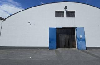 Gewerbeimmobilie mieten in 33397 Rietberg, Praktisch und gut angebunden: Großzügige Lagerhalle in Rietberg