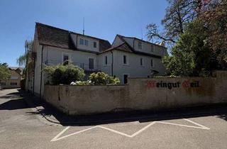 Anlageobjekt in Mittelstraße 14, 55278 Eimsheim, Historisches Weingut sucht neuen Eigentümer