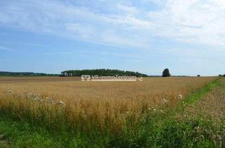 Immobilie kaufen in 86916 Kaufering, gut anfahrbare Ackerfläche