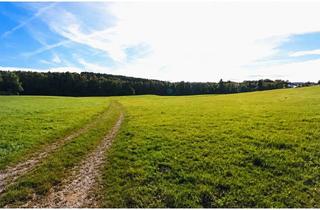 Gewerbeimmobilie kaufen in 87733 Markt Rettenbach, Großzügige Landwirtschaftsfläche – ideal für Investoren & Landwirte
