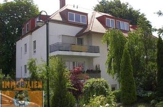 Wohnung mieten in 01896 Pulsnitz, Schöne Dachgeschoß-Single-WE in Pulsnitz