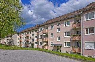 Wohnung mieten in Brucknerstraße, 58509 Lüdenscheid, Gut geschnittene 2-Zimmer-Wohnung im Erdgeschoß mit Balkon in Lüdenscheid Buckesfeld