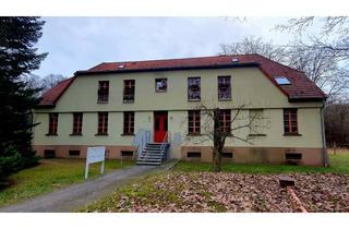 Wohnung mieten in Kaisermühler Straße, 15295 Groß Lindow, Helle, große 4-Zimmer Wohnung mit großer Terrasse im Grünen