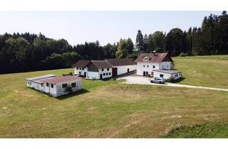Haus kaufen in 84329 Wurmannsquick, Alleinlage mit Zukunft –Hofstelle auf großzügigem Grundstück inklusive genehmigtem Neubauprojekt