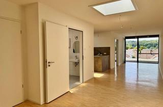 Penthouse mieten in 89165 Dietenheim, Moderne Penthouse-Wohnung mit Einbauküche und TG-Stellplatz