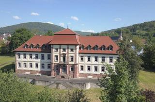 Anlageobjekt in 97903 Collenberg, Außergewöhnliche Entwicklungsimmobilie am Main – 1,5ha Grundstück mit vielseitigem Nutzungspotenzial