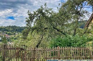 Immobilie kaufen in 75365 Calw, Erfüllen Sie sich Ihren Traum vom Eigenheim. Bauplatz in schöner Halbhöhenlage von Calw!
