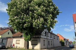 Haus kaufen in 99955 Herbsleben, Herbsleben - Charmantes Anwesen mit großem Grundstück, Scheune und Garten
