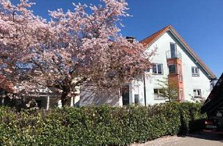 Mehrfamilienhaus kaufen in 77977 Rust, Rust - RUHIGES INVESTMENT-JUWEL AM EUROPA-PARK