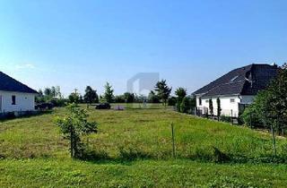 Grundstück zu kaufen in 18225 Kühlungsborn, Kühlungsborn - IHR PLATZ FÜR NEUE IDEEN!