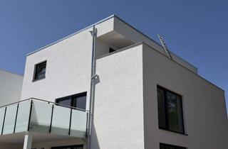 Penthouse mieten in 69256 Mauer, Barrierefreies Penthouse mit großzügiger Dachterrasse – Erstbezug - Einbauküche