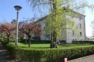 Wohnung mieten in 01589 Riesa, Schöne 2 Zimmerwohnung mit Balkon in der Delle