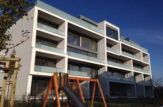 Wohnung mieten in Am Speicher, 21337 Lüneburg, Moderne 4-Zimmer-Wohnung mit großem Balkon im Hanseviertel / Speicherquartier