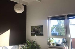 Wohnung mieten in 31135 Hildesheim, Renovierte 3-Raum-Dachgeschosswohnung mit Balkon in Hildesheim