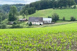 Bauernhaus kaufen in Hüsmecke, 58339 Breckerfeld, Bauernhaus mit Pferdestall (Renovierungsbedürftig)