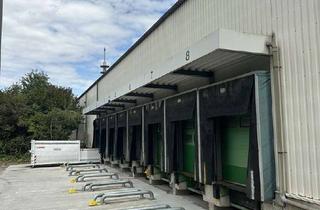 Gewerbeimmobilie mieten in Obere Hilgenstock 2-8, 34414 Warburg, A44/A7 Kassel Warburg Breuna 18.000 qm Lager, teilbar ab 5.000qm, EG, bis zu 35000qm Freifläche