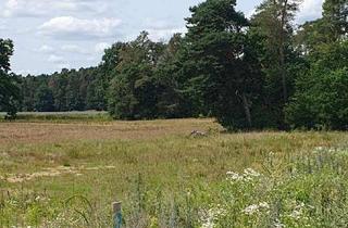 Grundstück zu kaufen in 91096 Möhrendorf, Sonniges Grundstück in begehrter Ortsrandlage - 525 m² mit Südausrichtung und freiem Blick ins Grüne