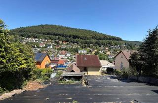 Grundstück zu kaufen in 69118 Ziegelhausen, Hanggrundstücke mit Aussicht in Toplage Heidelberg-Ziegelhausen