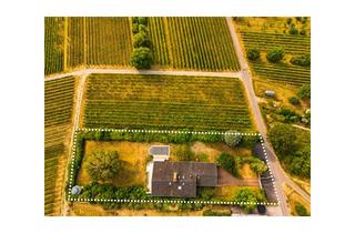Grundstück zu kaufen in 69493 Hirschberg, Hirschberg (Bergstraße): Einzigartiges Villengrundstück mit unverbaubarem Panoramablick!
