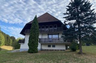 Wohnung mieten in Unter Schonendieshof 61a, 78132 Hornberg, Traumhaft wohnen im Grünen – hochwertig modernisierte Wohnung mit Wärmepumpe & PV