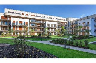 Wohnung mieten in Hospitalstraße 24, 65929 Höchst, Zuhause mit drei Zimmern und gehobener Ausstattung in Frankfurt Höchst